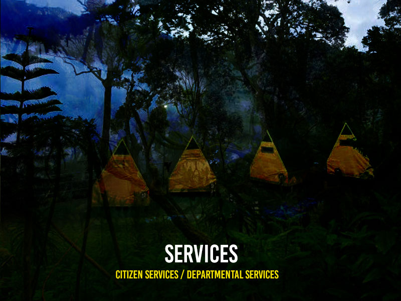 Services